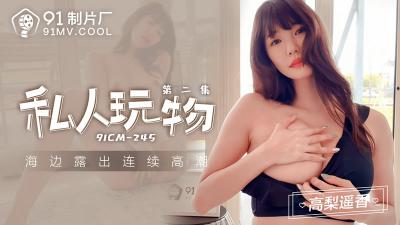 91CM-245 私人玩物 第二集-高梨遥香